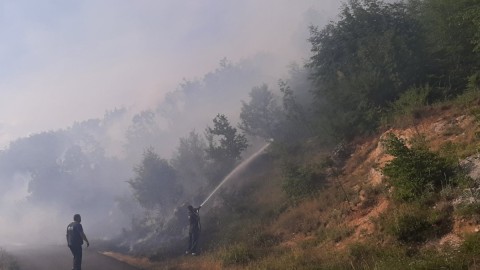 Aktivni požari u rejonu Cetinja, Ćećanović pozvao mještane da pomognu u zaštiti imanja thumb2.jpg
