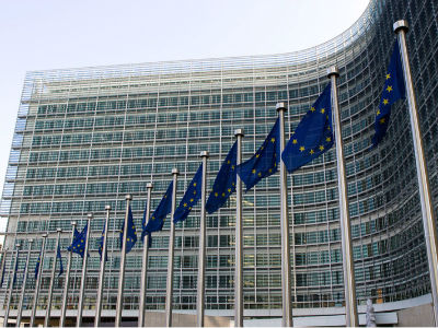 EU commissioner to submit report on Serbia EU commissioner to submit report on Serbia