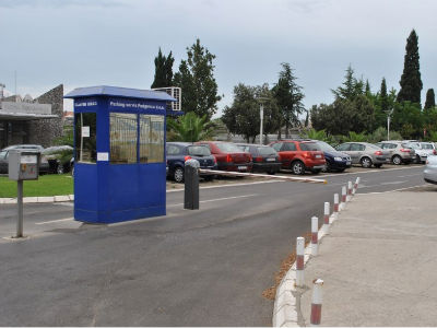 Podgorica: I pauk praznuje Podgorica: I pauk praznuje