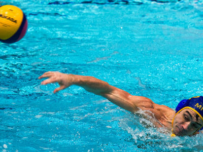 "Sharks" lost to Hungary "Sharks" lost to Hungary