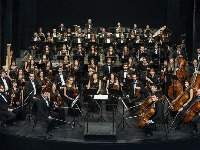 Onlajn koncert simfonijskog orkestra