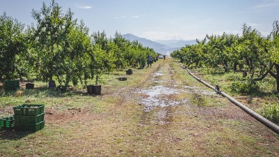 Početkom septembra o raspodjeli dobiti Početkom septembra o raspodjeli dobiti