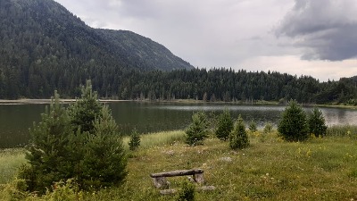 Poslijepodne kiša, do 34 stepena Poslijepodne kiša, do 34 stepena