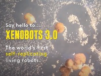 Prvi živi roboti na svijetu sada mogu da se razmnožavaju