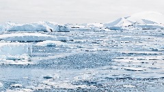 Снијег на Арктику замјењује киша