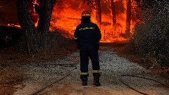 Zbog požara evakuisano 450 ljudi iz odmarališta na Lezbosu