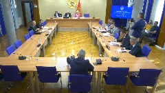 Odbor nije podržao otvaranje istrage o postupanju policije na Cetinju 