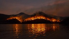 Građani da prijave šumske požare 