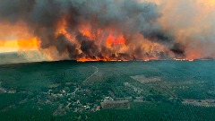 Izgorjelo 6.000 hektara šuma, evakuisano 8.000 ljudi