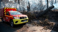 Francuska traži pomoć EU u obuzdavanju šumskih požara