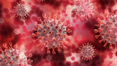 Zašto se vraća polio virus?