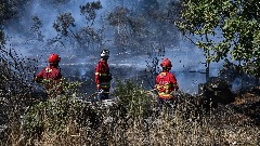 Ponovo proglašen maksimalni rizik od šumskih požara