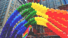U Crnoj Gori položaj LGBTI osoba bolji ali treba iskorijeniti nasilje i govor mržnje