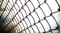 thumb1.jpg