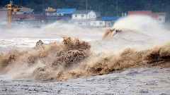 Tajfun Hinamnor ostavio 20.000 domova bez struje, nestala jedna osoba
