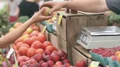 Почела акција уклањања неовлашћених штандова за продају воћа