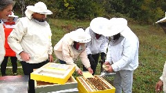 Пчеларство - озбиљна развојна шанса и бизнис будућности