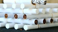 U BiH otkrivena fabrika za ilegalnu proizvodnju cigareta