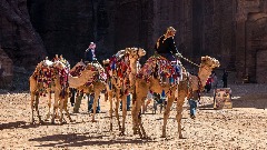 Саудијски хотел за камиле 