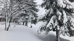Највише снијега на Жабљаку