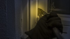 thumb1.jpg