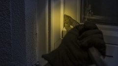 thumb1.jpg