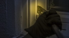 thumb1.jpg