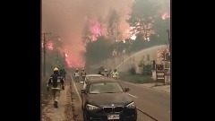 У шумским пожарима у Чилеу страдале четири особе
