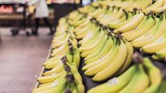 Уништено 19.591 килограм банана због пестицида