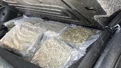 Državljanin CG uhapšen u Novom Sadu, nađeno 50 kg droge