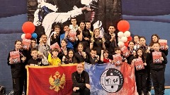 Такмичарима Академца 23 медаље у Зрењанину