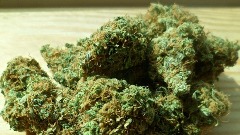 Држављанин Србије ухапшен са 124 грама марихуане
