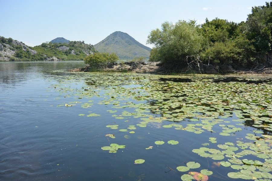 Skadarsko jezero