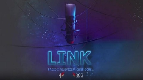 U "Linku" o Nacionalnoj konferenciji o HIV- u i AIDS-u thumb2.jpg