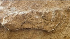 Пронађен најстарији познати отисак људске стопе на свијету