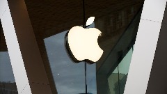 thumb1.jpg