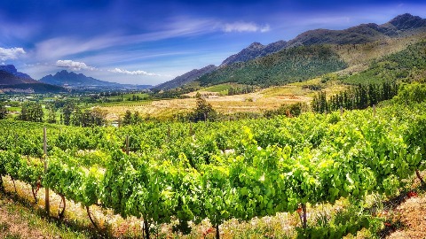 Nektar bogova sa podneblja Albanije – u vinu je istina