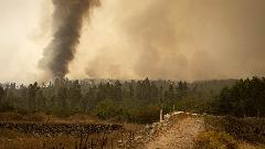 Због шумског пожара евакуисано више од 8.000 људи 