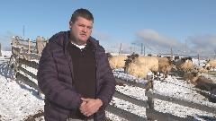 Mladi stočar sa Žabljaka: U ovčarstvu je budućnost, država da pomogne