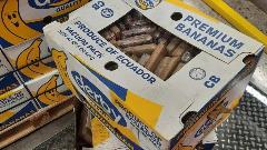 Pošiljke banana iz Ekvadora paravan za šverc kokaina