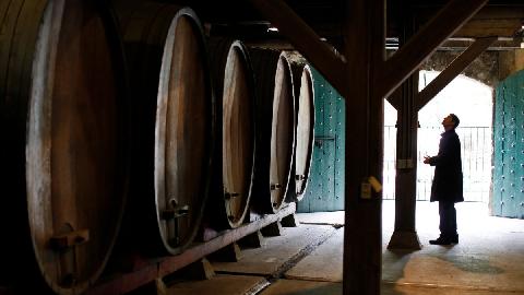Uljez ušao u vinariju i namjerno prosuo 60.000 litara vrhunskog vina