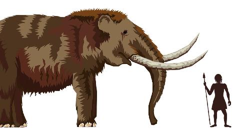 Prvi lovci na mamute
