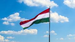  Mađarski parlament glasa o kandidaturi Švedske za NATO