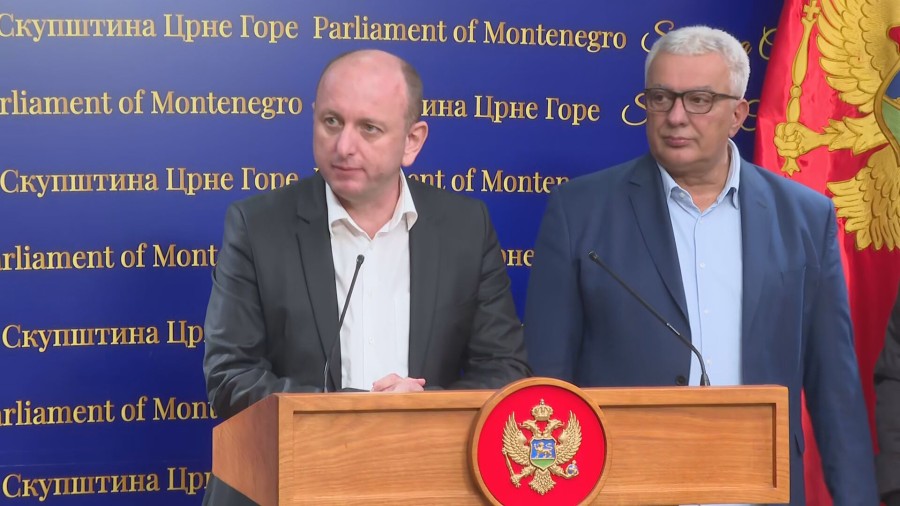 Knežević i Mandić