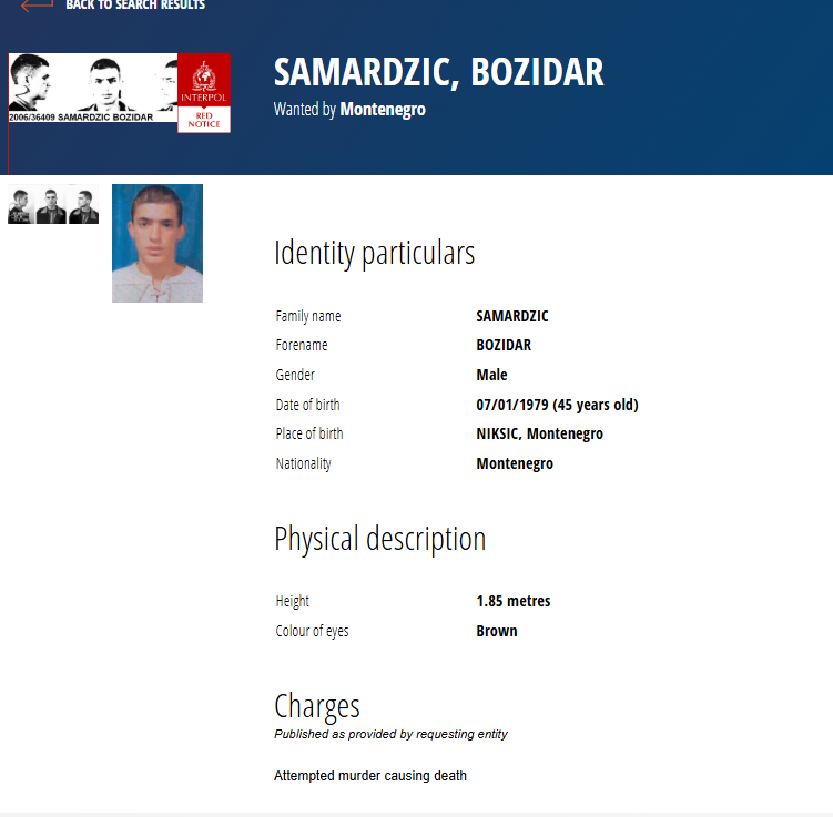 Božidar Samardžić 