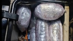 thumb1.jpg