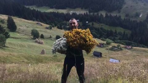 Planine na sjeveru veliki i neiskorišćeni zeleni rudnik ljekobilja thumb2.jpg
