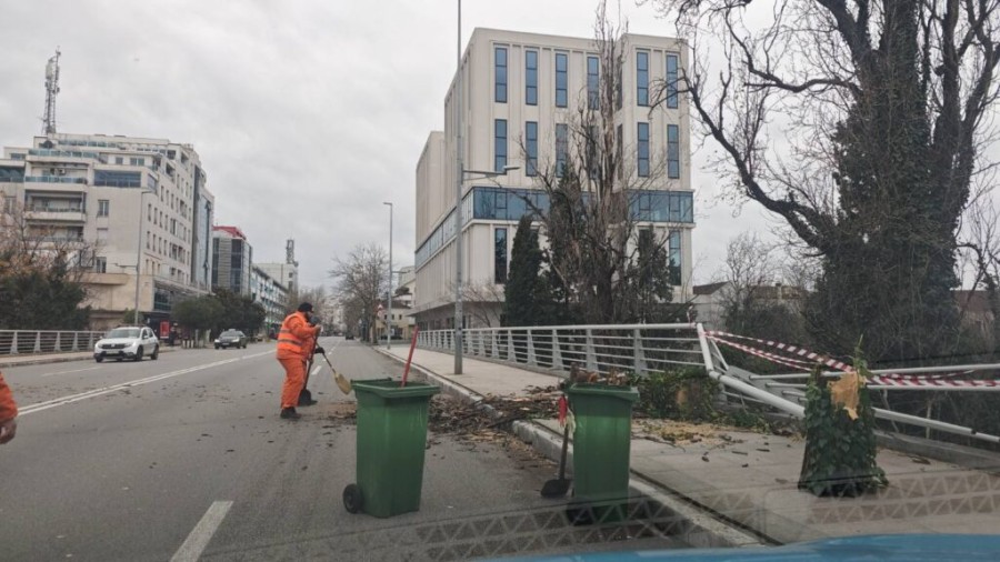 Na terenu službe