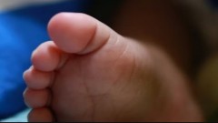 thumb1.jpg