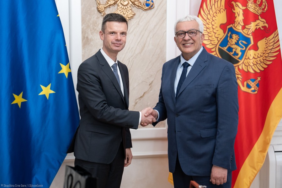 Bošmnjak i Mandić